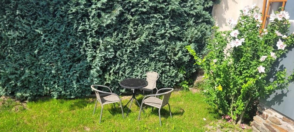 Ferienwohnung Eg Frauenmarkt 1 Schneeberg  Exterior foto